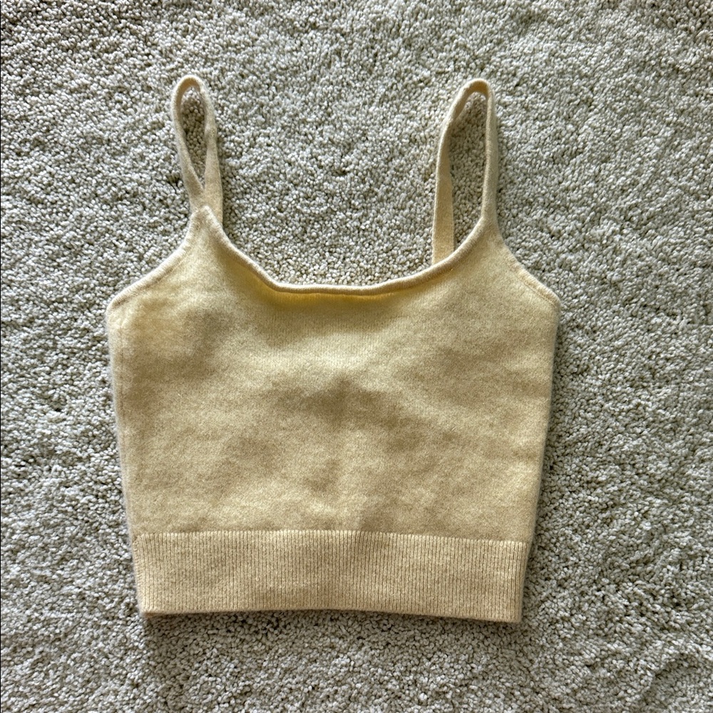 Aritzia Crop Too